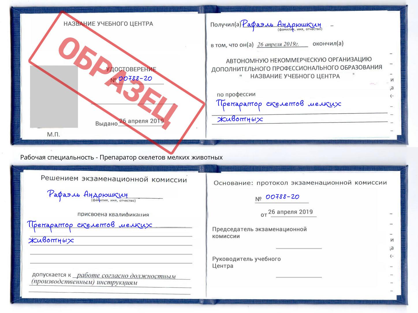 Препаратор скелетов мелких животных Кизилюрт