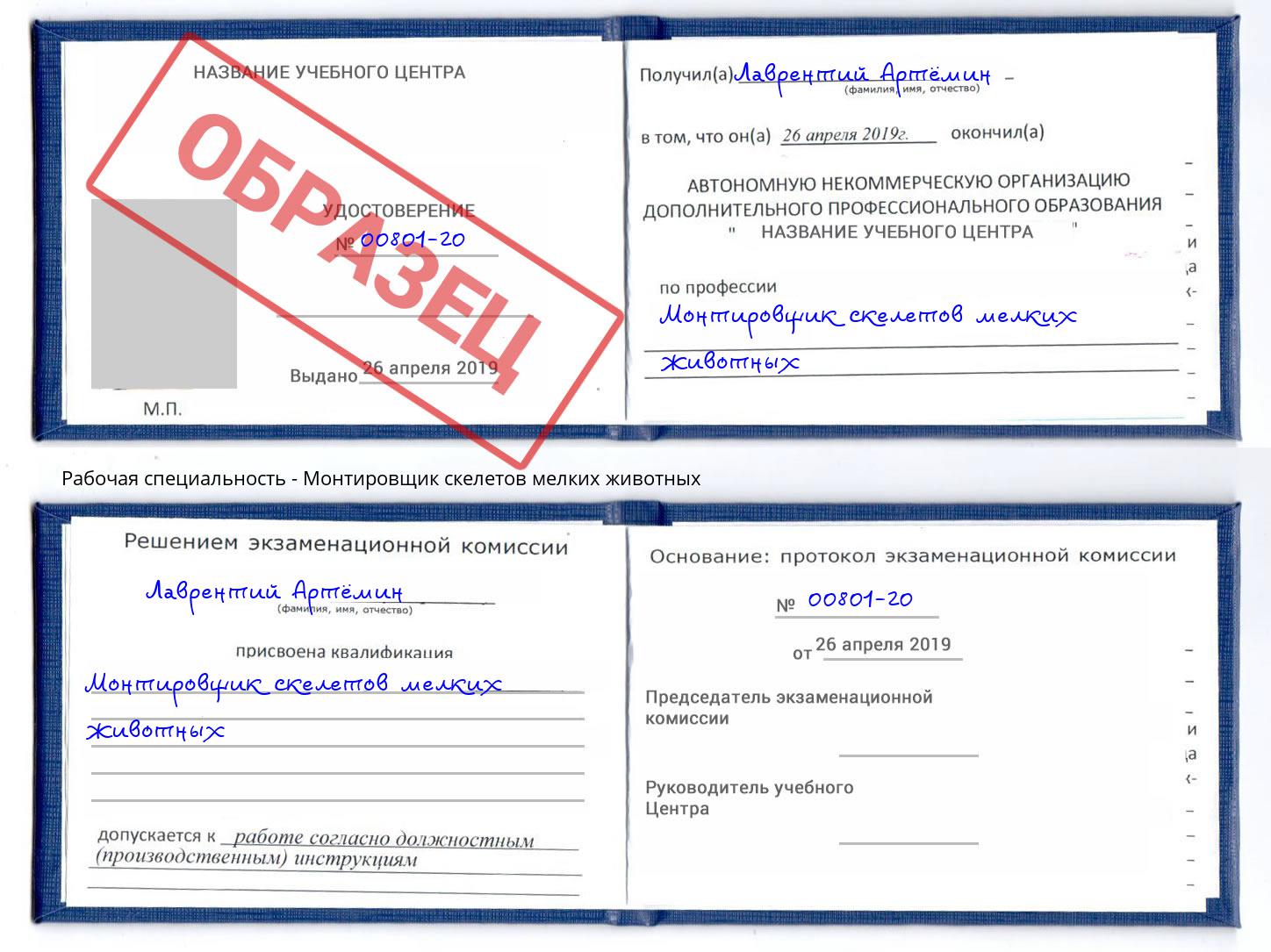 Монтировщик скелетов мелких животных Кизилюрт