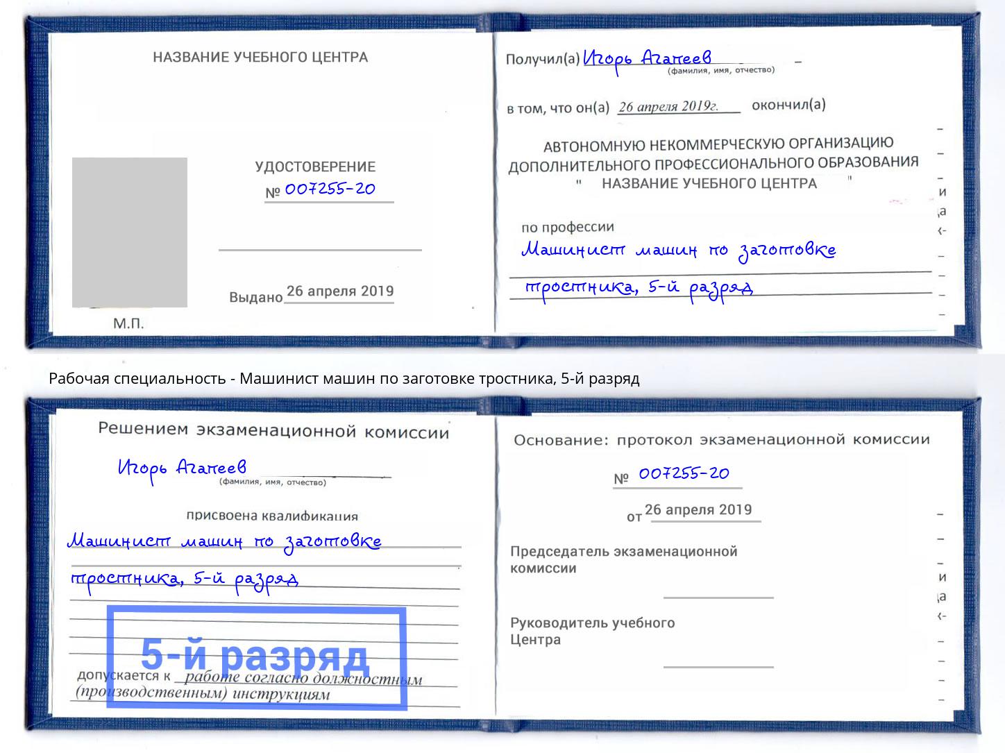 корочка 5-й разряд Машинист машин по заготовке тростника Кизилюрт