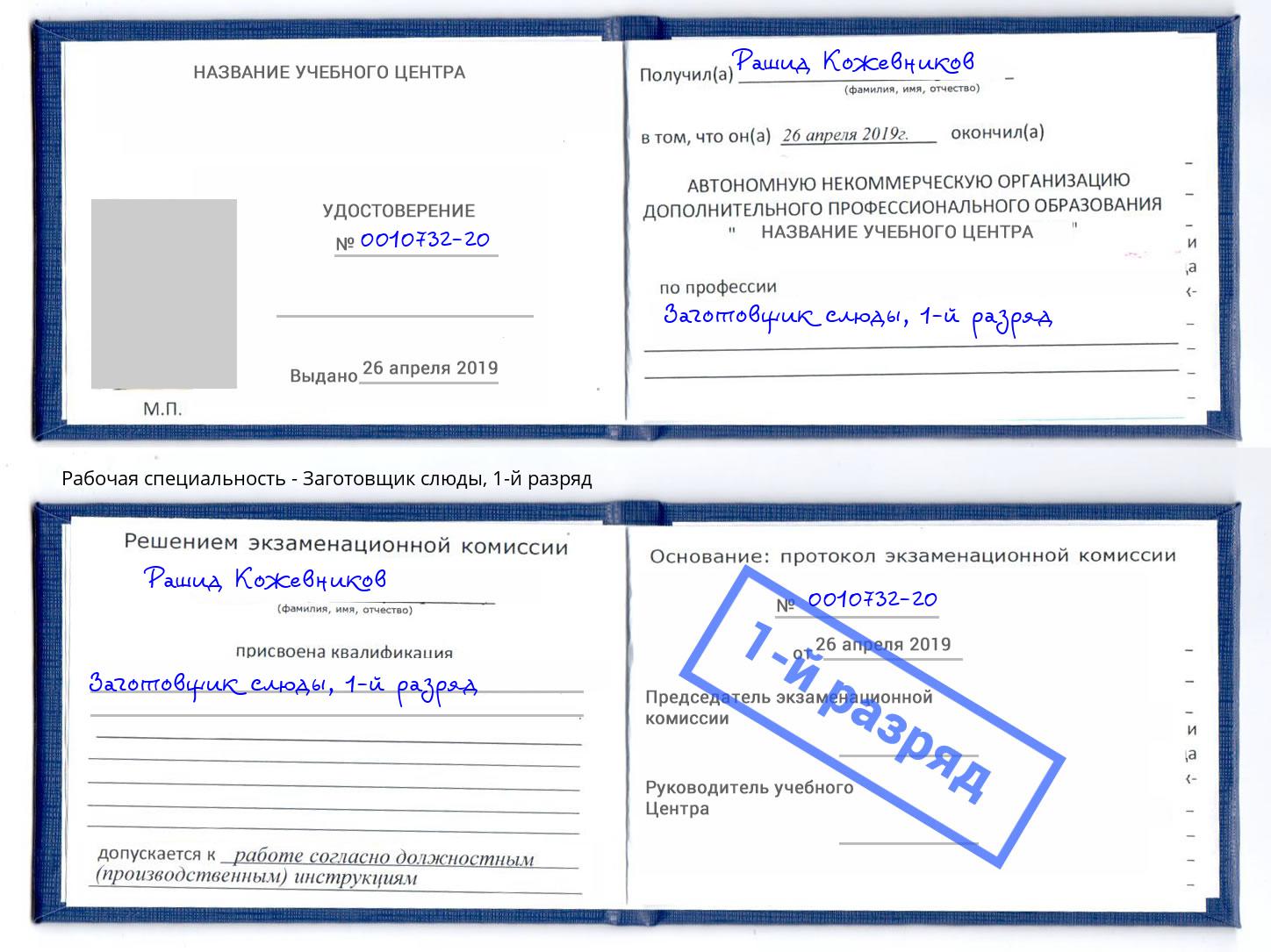 корочка 1-й разряд Заготовщик слюды Кизилюрт